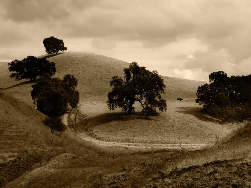 sudoku offline mode screenshot 6