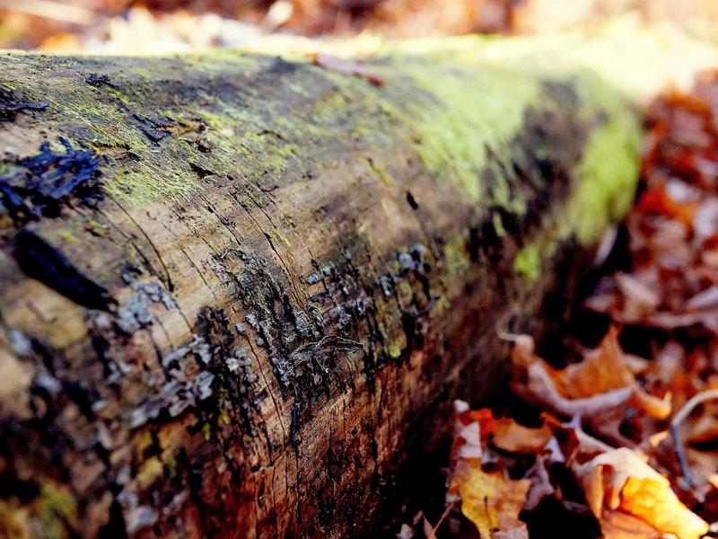 sudoku pattern learning